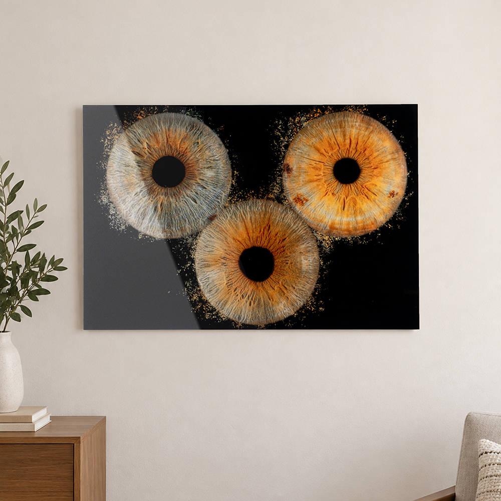 ChromaLuxe HD Metal Print